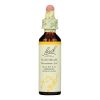 Bach Flower Remedies Essences Hornbeam - 0.7 fl oz