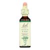 Bach Flower Remedies Essence Centaury - 0.7 fl oz