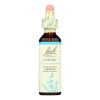 Bach Flower Remedies Essence Chicory - 0.7 fl oz