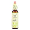 Bach Flower Remedies Essence Clematis - 0.7 fl oz