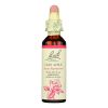 Bach Flower Remedies Essence Crab Apple - 0.7 fl oz